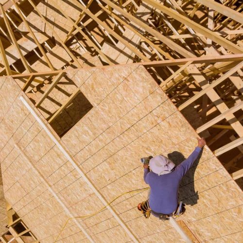 Carpenter with nailing plywood on roof of the house